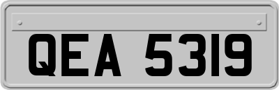 QEA5319