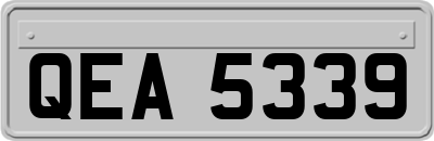 QEA5339