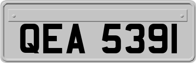 QEA5391