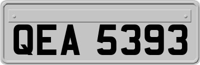 QEA5393