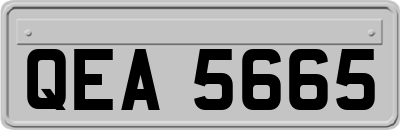 QEA5665