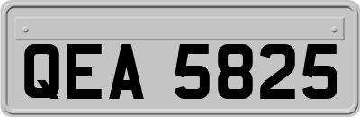 QEA5825