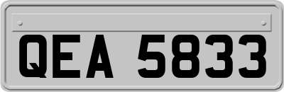 QEA5833