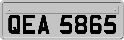 QEA5865