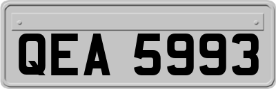 QEA5993