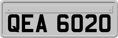 QEA6020