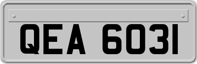 QEA6031
