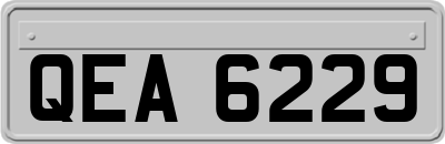 QEA6229