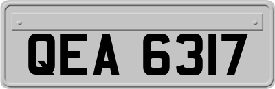 QEA6317
