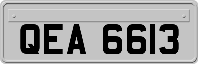QEA6613