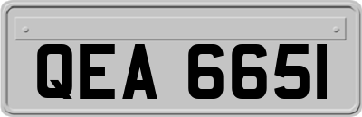 QEA6651