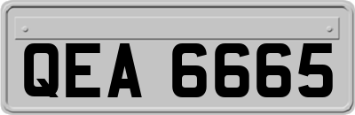 QEA6665