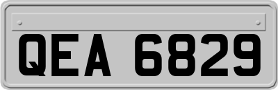QEA6829