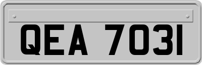 QEA7031