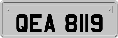 QEA8119