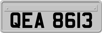 QEA8613