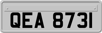 QEA8731