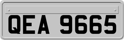 QEA9665
