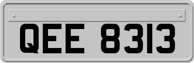 QEE8313