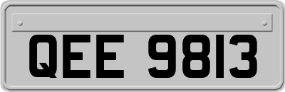 QEE9813