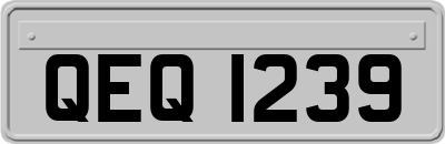 QEQ1239