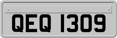 QEQ1309
