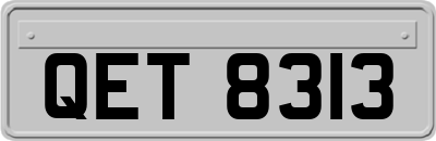 QET8313