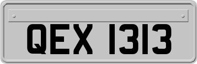 QEX1313