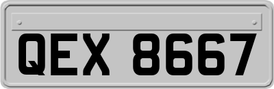 QEX8667