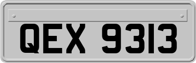 QEX9313