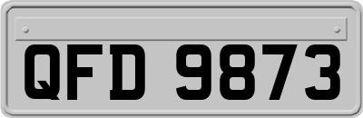 QFD9873