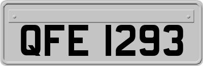 QFE1293