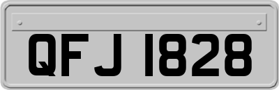 QFJ1828