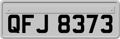 QFJ8373
