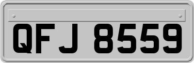 QFJ8559