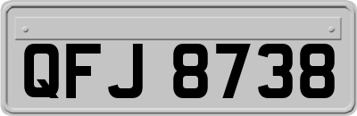 QFJ8738