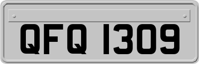QFQ1309