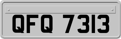 QFQ7313