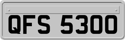 QFS5300