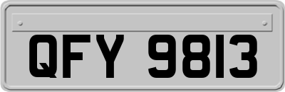 QFY9813