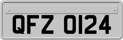 QFZ0124