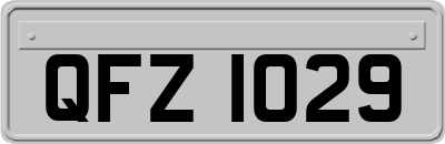 QFZ1029