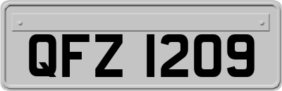 QFZ1209