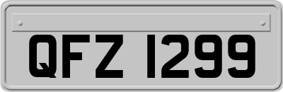 QFZ1299