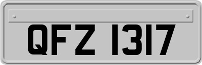 QFZ1317