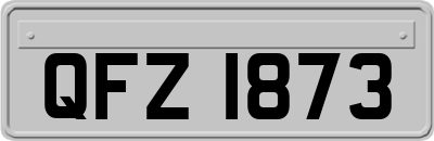 QFZ1873