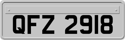 QFZ2918