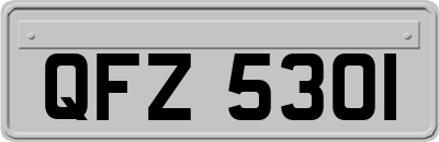 QFZ5301