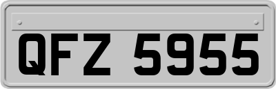 QFZ5955