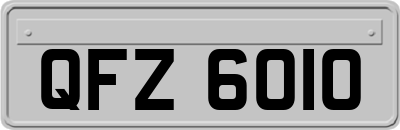 QFZ6010